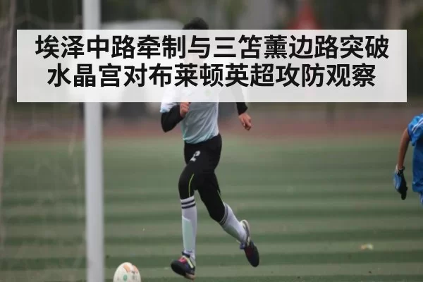 埃泽中路牵制与三笘薰边路突破 水晶宫对布莱顿英超攻防观察